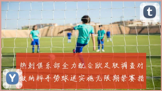 热刺俱乐部全力配合欧足联调查对做纳粹手势球迷实施无限期禁赛措施