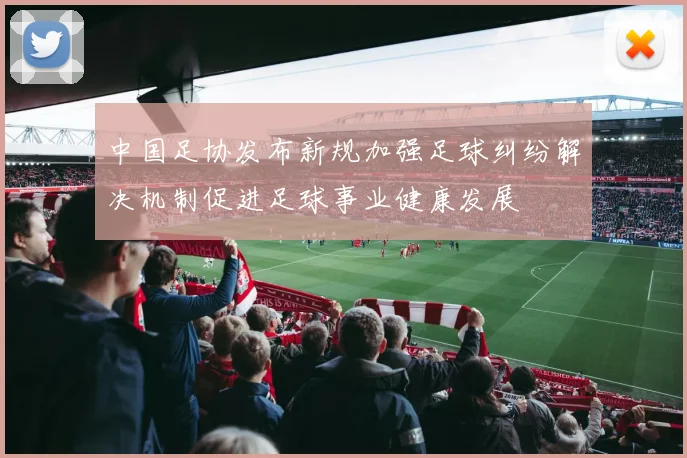 中国足协发布新规加强足球纠纷解决机制促进足球事业健康发展